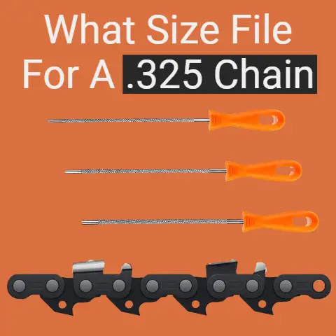 What Size File for a .325 Chain (Explained)