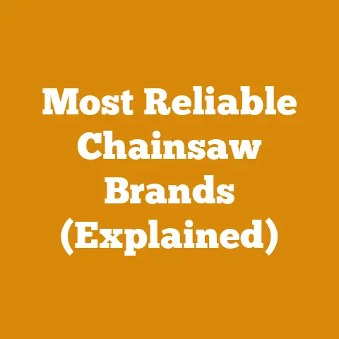 Most Reliable Chainsaw Brands (Explained)