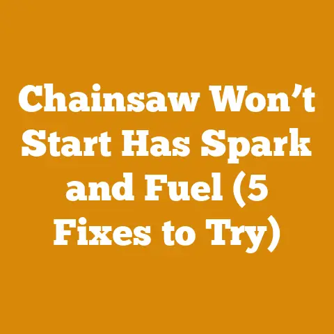 Chainsaw Won’t Start Has Spark and Fuel (5 Fixes to Try)