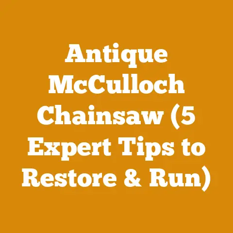 Antique McCulloch Chainsaw (5 Expert Tips to Restore & Run)
