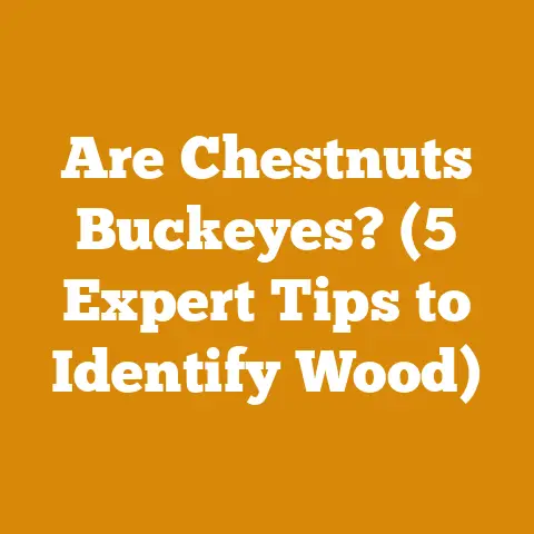 Are Chestnuts Buckeyes? (5 Expert Tips to Identify Wood)
