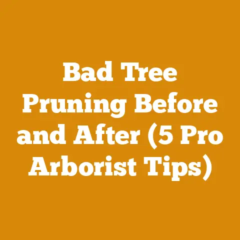 Bad Tree Pruning Before and After (5 Pro Arborist Tips)