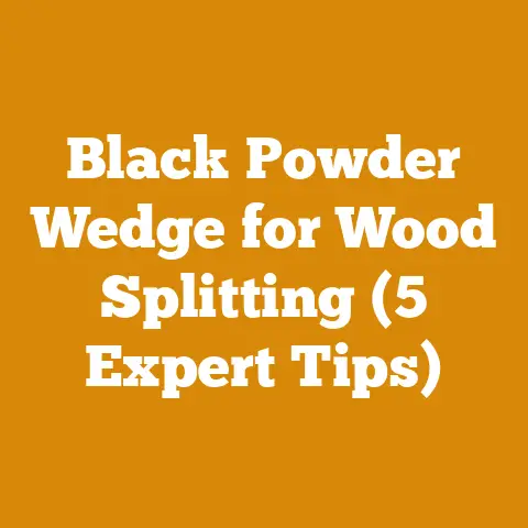 Black Powder Wedge for Wood Splitting (5 Expert Tips)