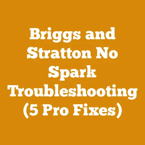 Briggs and Stratton No Spark Troubleshooting (5 Pro Fixes)