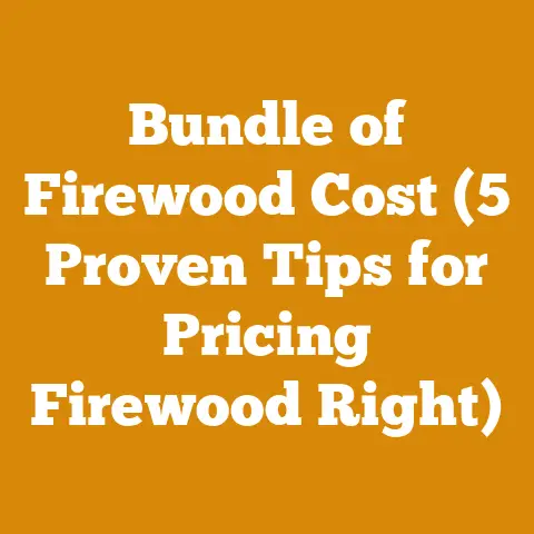 Bundle of Firewood Cost (5 Proven Tips for Pricing Firewood Right)