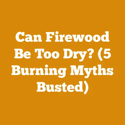Can Firewood Be Too Dry? (5 Burning Myths Busted)