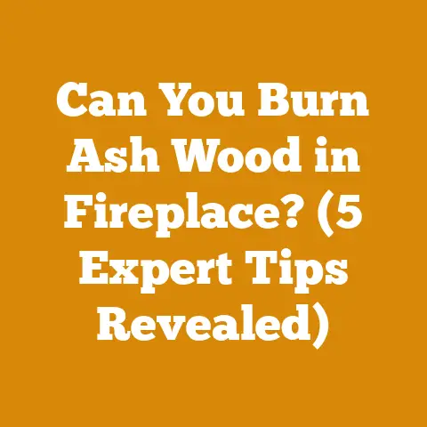 Can You Burn Ash Wood in Fireplace? (5 Expert Tips Revealed)