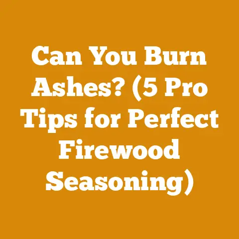 Can You Burn Ashes? (5 Pro Tips for Perfect Firewood Seasoning)