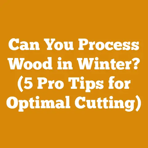 Can You Process Wood in Winter? (5 Pro Tips for Optimal Cutting)