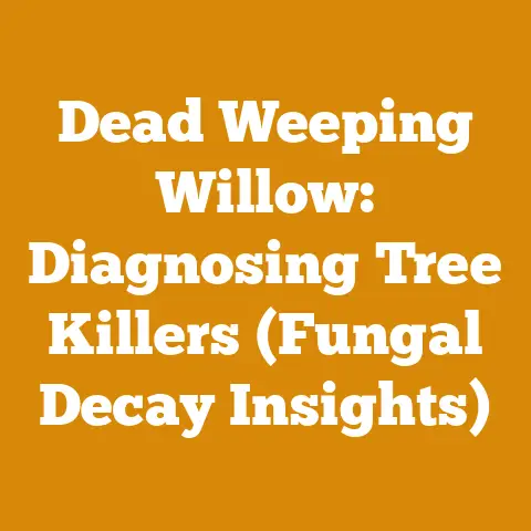 Dead Weeping Willow: Diagnosing Tree Killers (Fungal Decay Insights)