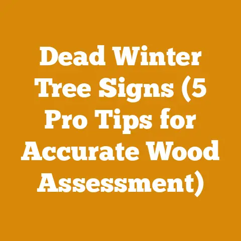 Dead Winter Tree Signs (5 Pro Tips for Accurate Wood Assessment)