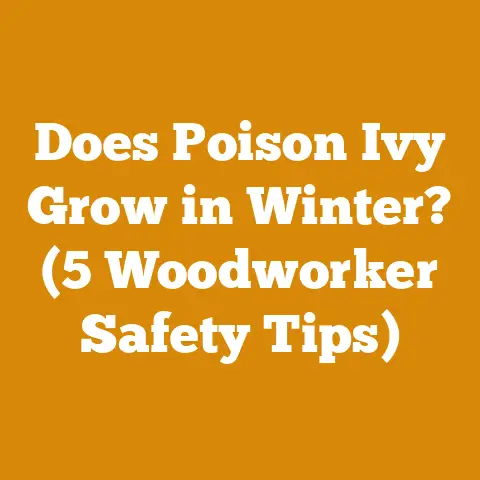 Does Poison Ivy Grow in Winter? (5 Woodworker Safety Tips)