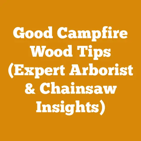 Good Campfire Wood Tips (Expert Arborist & Chainsaw Insights)