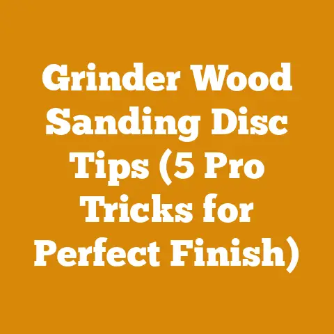 Grinder Wood Sanding Disc Tips (5 Pro Tricks for Perfect Finish)