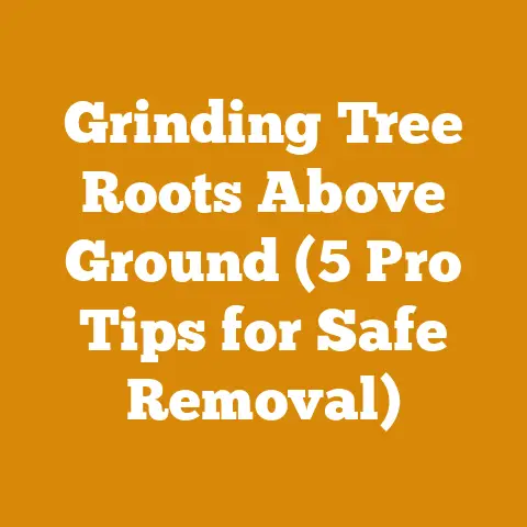 Grinding Tree Roots Above Ground (5 Pro Tips for Safe Removal)