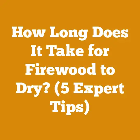 How Long Does It Take for Firewood to Dry? (5 Expert Tips)