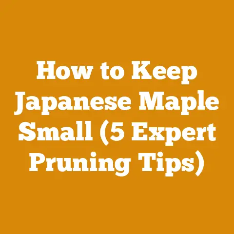 How to Keep Japanese Maple Small (5 Expert Pruning Tips)