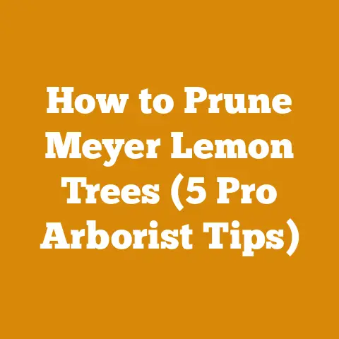 How to Prune Meyer Lemon Trees (5 Pro Arborist Tips)