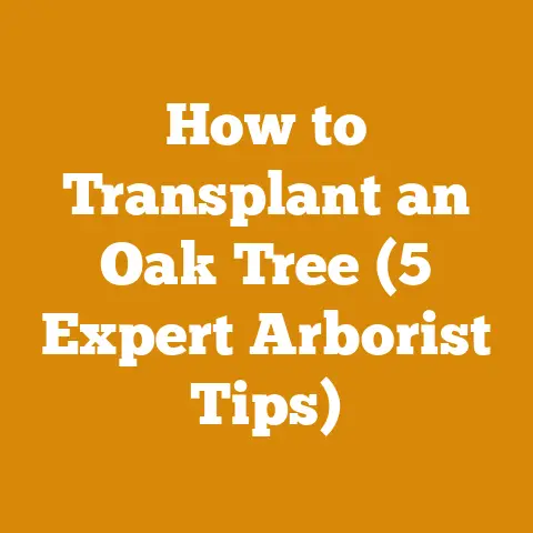 How to Transplant an Oak Tree (5 Expert Arborist Tips)
