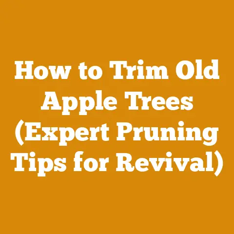 How to Trim Old Apple Trees (Expert Pruning Tips for Revival)