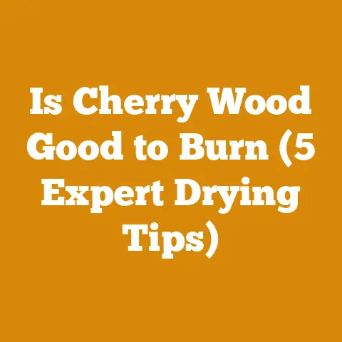 Is Cherry Wood Good to Burn (5 Expert Drying Tips)