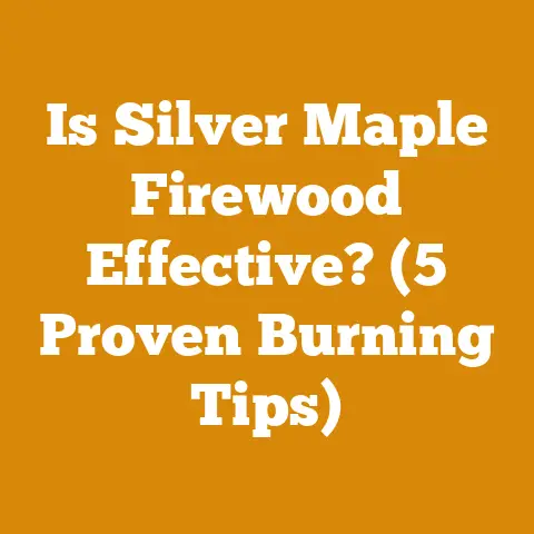Is Silver Maple Firewood Effective? (5 Proven Burning Tips)