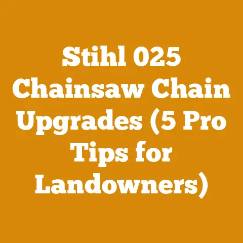 Stihl 025 Chainsaw Chain Upgrades (5 Pro Tips for Landowners)