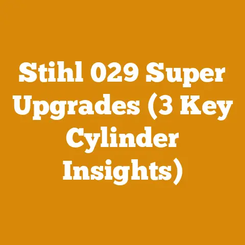Stihl 029 Super Upgrades (3 Key Cylinder Insights)