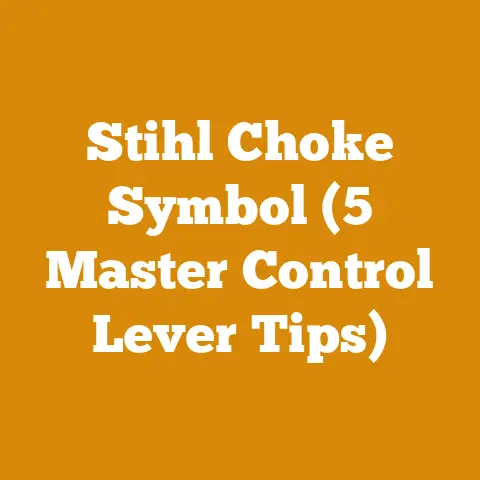 Stihl Choke Symbol (5 Master Control Lever Tips)