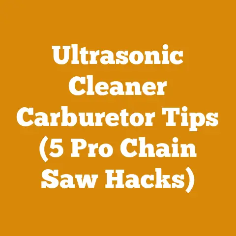 Ultrasonic Cleaner Carburetor Tips (5 Pro Chain Saw Hacks)