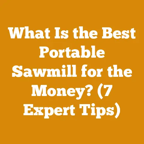 What Is the Best Portable Sawmill for the Money? (7 Expert Tips)