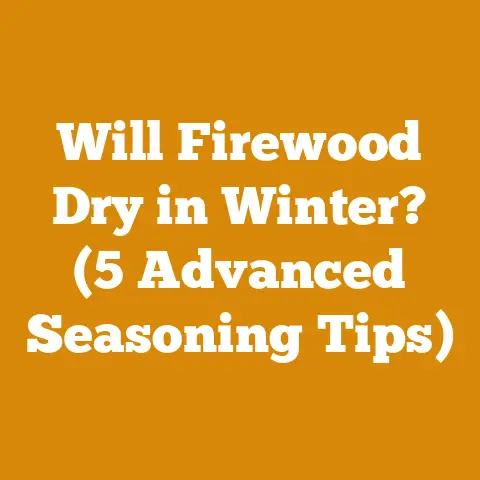 Will Firewood Dry in Winter? (5 Advanced Seasoning Tips)
