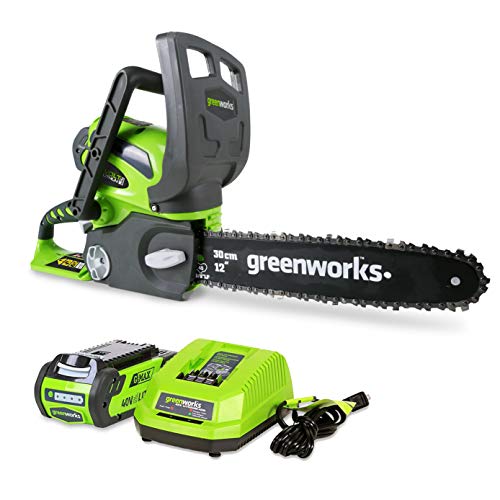 Greenworks 40V 12-Inch Cordless Chainsaw, 2.0Ah Battery and Charger Included 20262