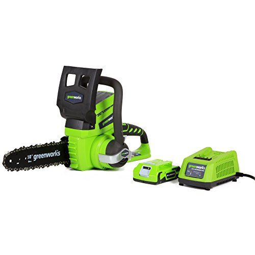 Greenworks 24V 10" Chainsaw, 2.0Ah USB Battery and Charger