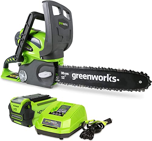 Greenworks 40V 12' Cordless Compact Chainsaw (Great For Storm Clean-Up, Pruning, and Camping), 2.0Ah...
