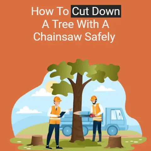 How To Cut Down A Tree With A Chainsaw Safely (First Time)