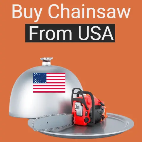 Buy Chainsaw From USA (Is It Better?)