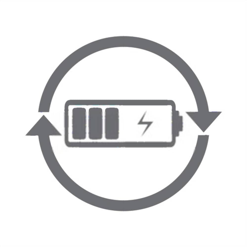 reset echo 58-volt battery charger