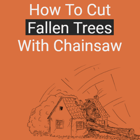 How to cut fallen trees with chainsaw