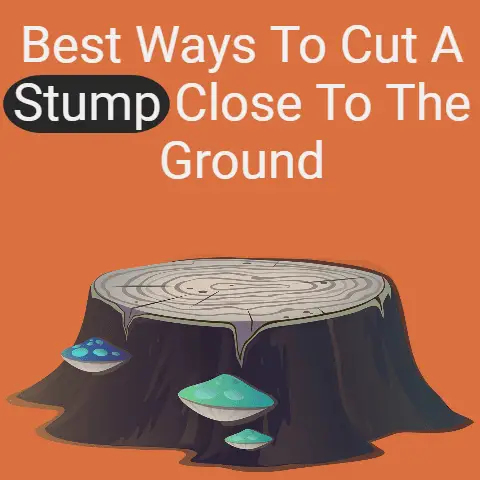 Best ways to cut a stump close to the ground