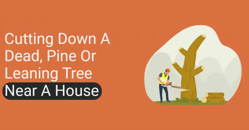 Cutting Down a Dead, Pine or Leaning Tree Near a House