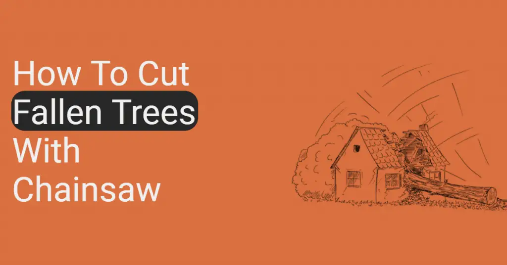 How to cut fallen trees with chainsaw