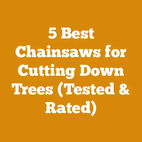 5 Best Chainsaws for Cutting Down Trees (Tested & Rated)