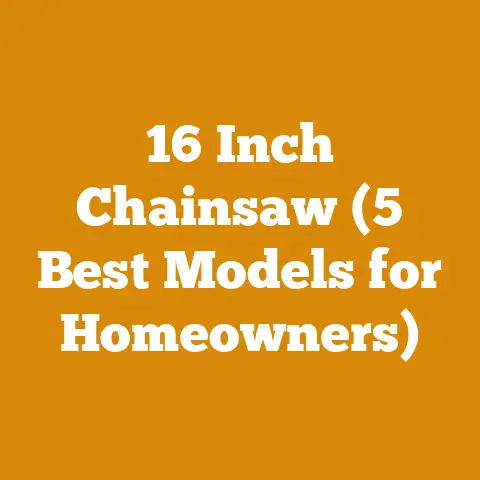 16 Inch Chainsaw (5 Best Models for Homeowners)