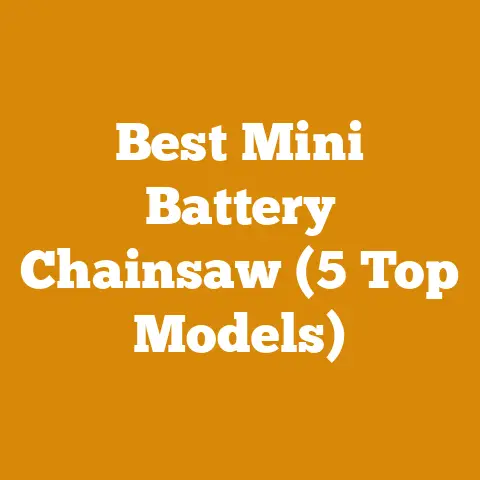 Best Mini Battery Chainsaw (5 Top Models)