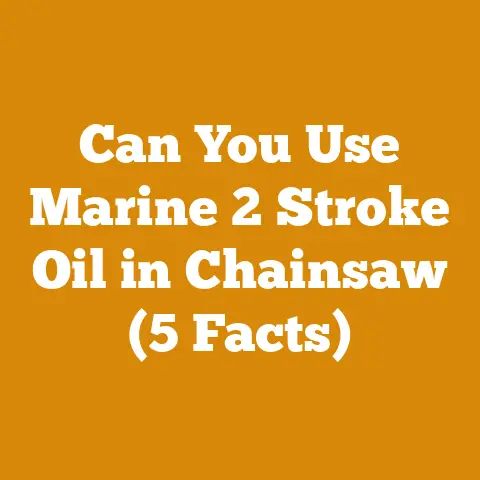 Can You Use Marine 2 Stroke Oil in Chainsaw (5 Facts)