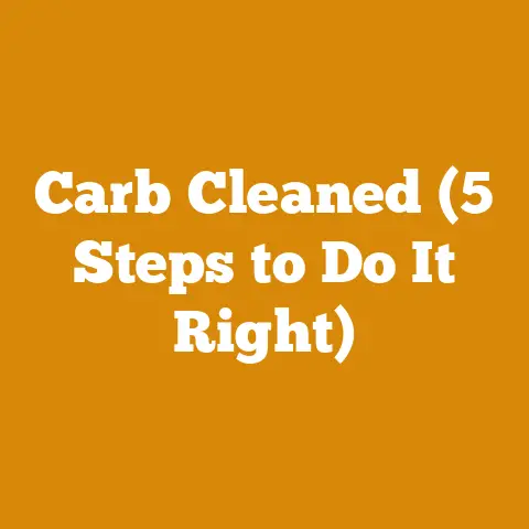 Carb Cleaned (5 Steps to Do It Right)