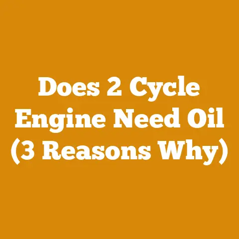 Does 2 Cycle Engine Need Oil (3 Reasons Why)