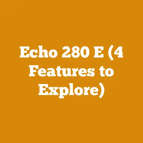 Echo 280 E (4 Features to Explore)