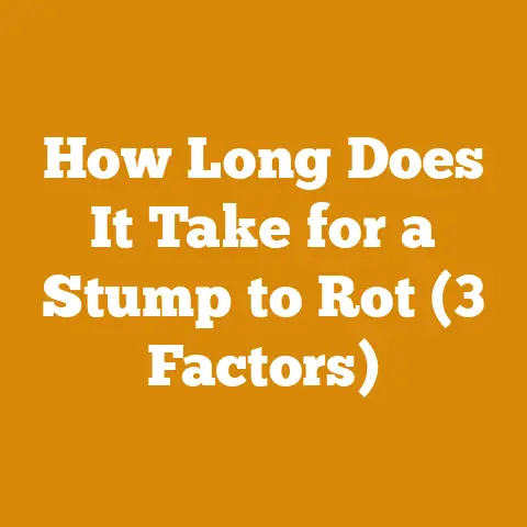 How Long Does It Take for a Stump to Rot (3 Factors)